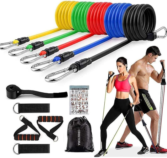 Gym Belt with Box | 5-in-1 – Complete Fitness Support Kit